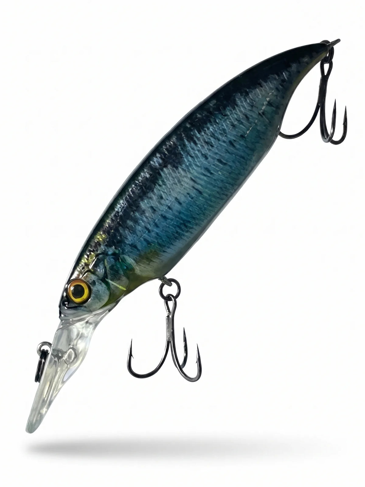 Nasty Lure Company 360