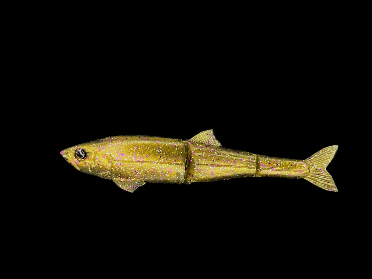 Dranckrazy SP-Opts #128 Gizzard Shad