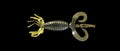 Derange Whora product image - 09 RCA S G.jpg